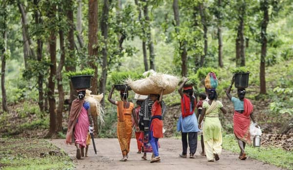 rural-urban migration