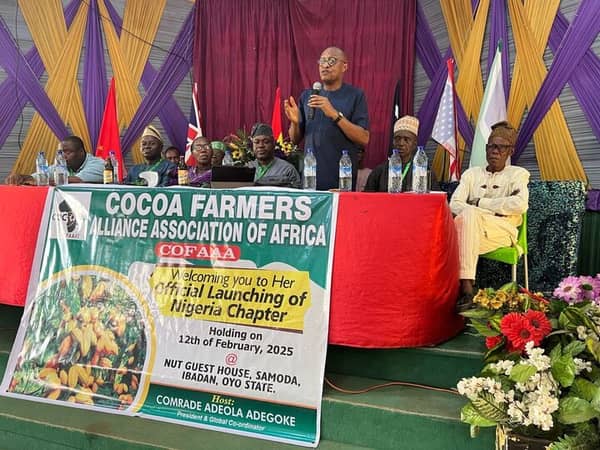 img-20250213-wa0000_720