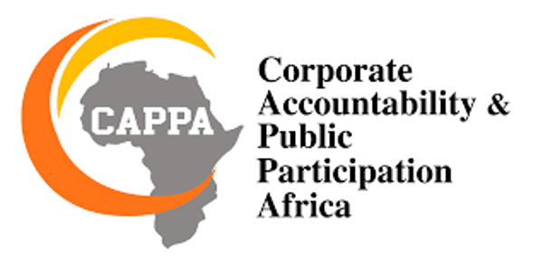 Corporate Accountability and Public Participation Africa (CAPPA)