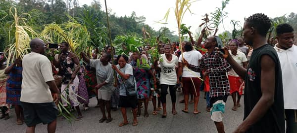 IMG_20250217_092505_955-scaled