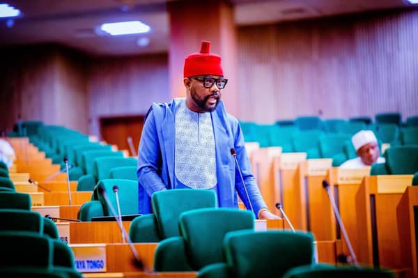 Ikenga-Imo-Ugochinyere-2