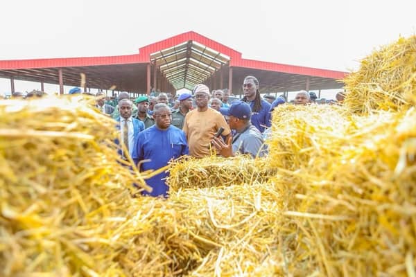 WhatsApp Image 2025-03-09 at 15.34.52_7099014e