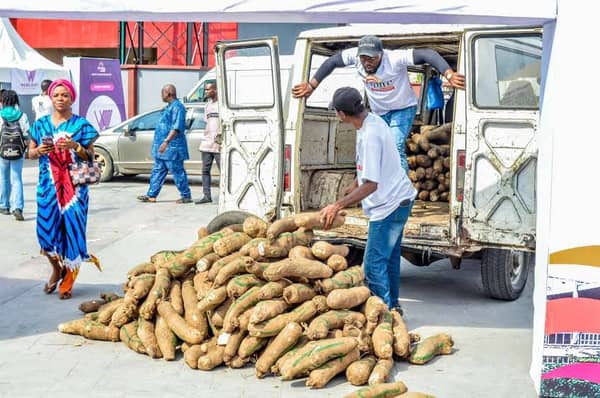 WhatsApp Image 2025-03-30 at 23.30.37_57c2e2bf