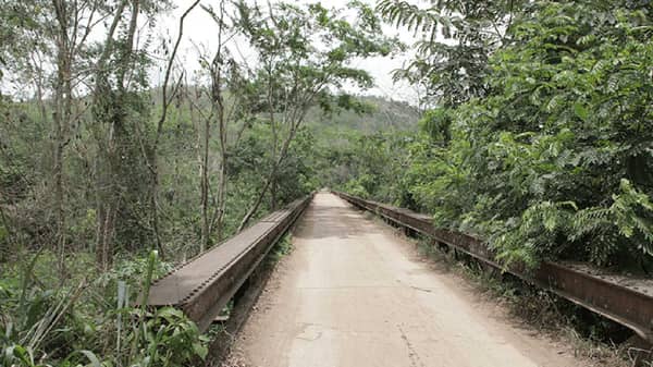 ae2b8004-the-bridge-leading-to-olokemeji-community-which-hosts-the-forest-reserve