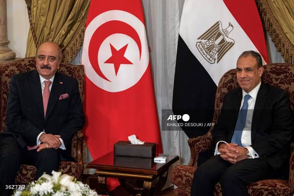 EGYPT-TUNISIA-ARAB-SUMMIT-PALESTINIAN-DIPLOMACY-WAR-ISRAEL
