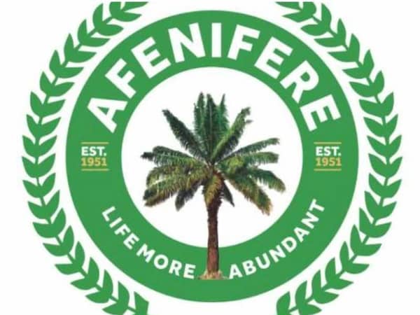 Afenifere-1