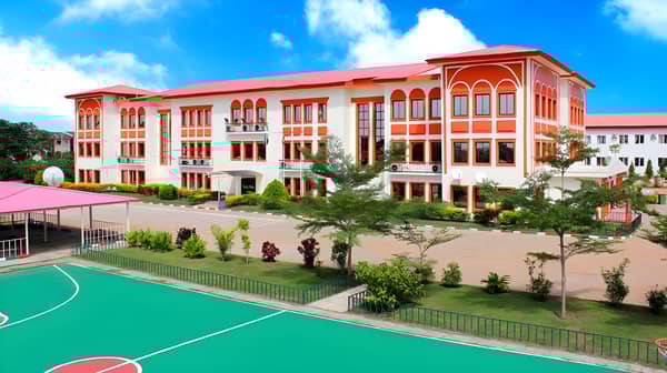 Nigerian Tulip International