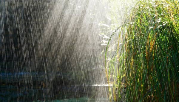 rainfall-750×430