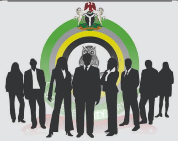 The Department of State Services (DSS)