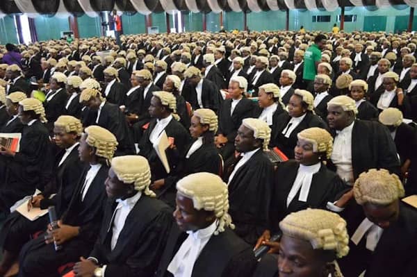 Nigerian Lawyers (1)