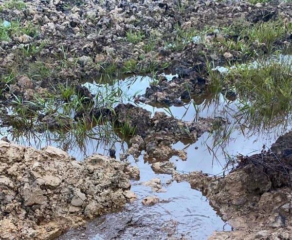 Oil spills Rivers (1)