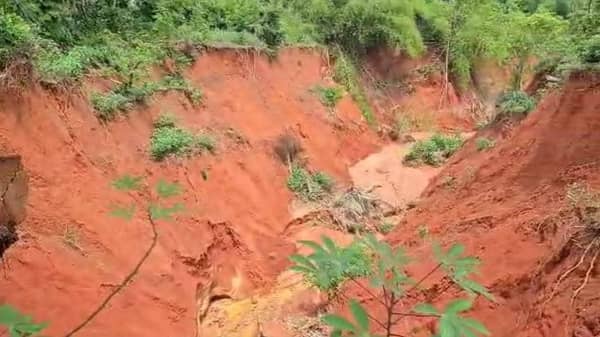 WhatsApp Image 2025-05-23 at 14.10.38_58365c19