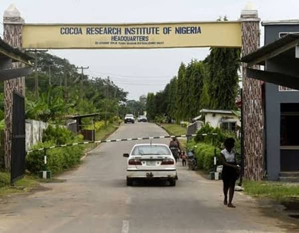 WhatsApp Image 2025-06-19 at 12.22.44_7cea08cd