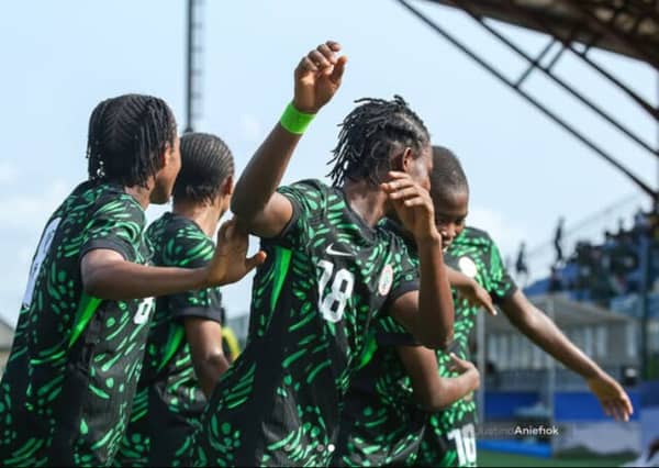 flamingos-of-nigeria