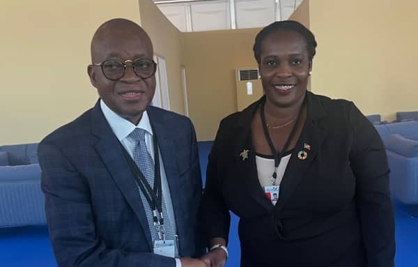 Adegboyega Oyetola (left)