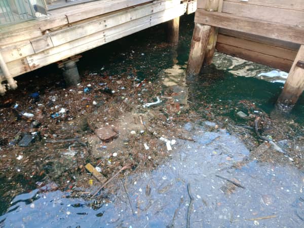 Garbage_floating_around_in_Circular_Quay