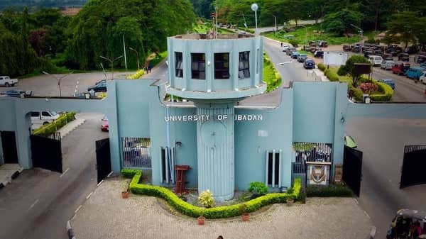 The University of Ibadan (UI)