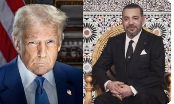 WhatsApp Image 2025-08-02 at 23.43.23_78474917