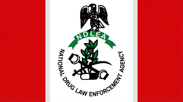 National Drug Law Enforcement Agency logo