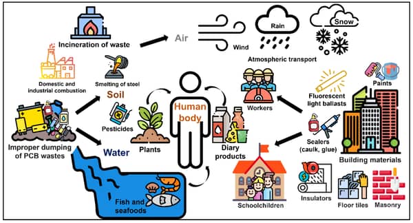 Polychlorinated Biphenyls pollution