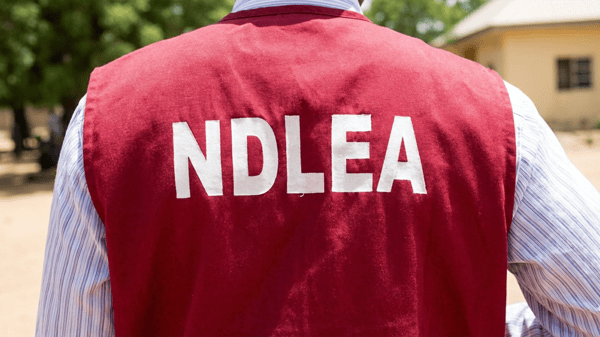 The National Drug Law Enforcement Agency (NDLEA)