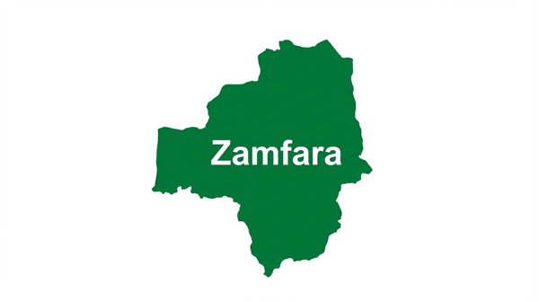 ZAmfara state map