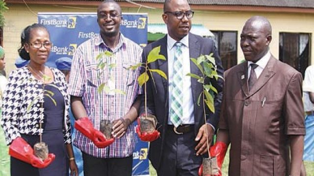 First Bank teams up with NCF on biodiversity protection | The Guardian ...