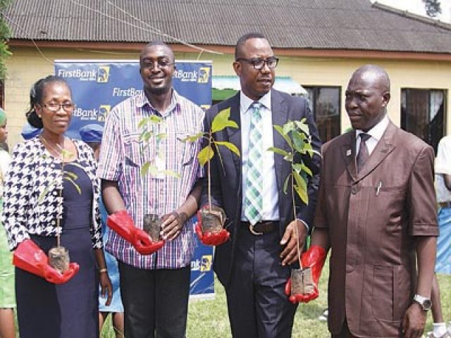 First Bank teams up with NCF on biodiversity protection | The Guardian ...