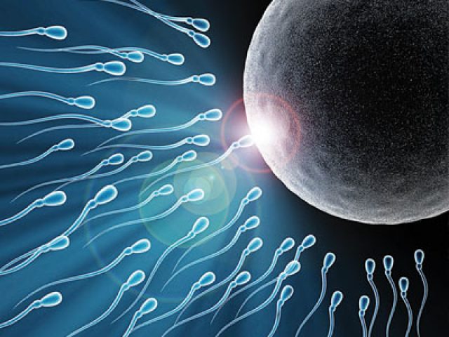 Scientists Create Human Sperm In Lab But Does It Work The Guardian Nigeria News Nigeria 7644