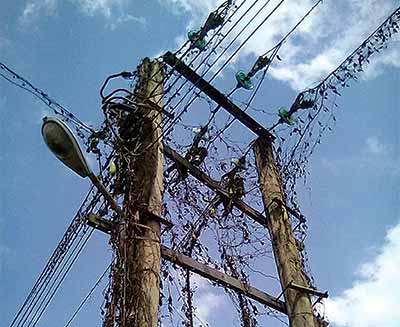 Electricity poles in the community