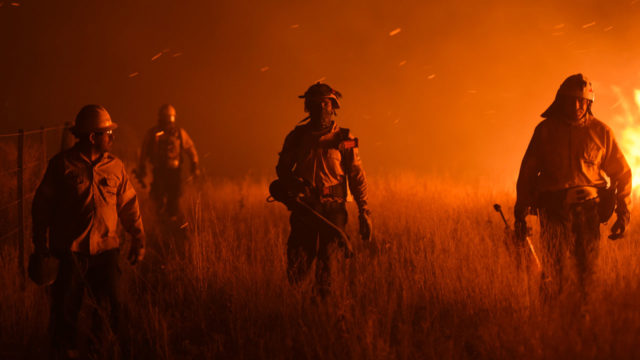 Argentine wildfires devastate pampas | The Guardian Nigeria News ...