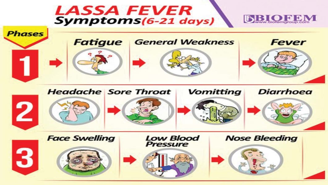 How to tackle Lassa fever epidemic, by WHO | The Guardian Nigeria News ...