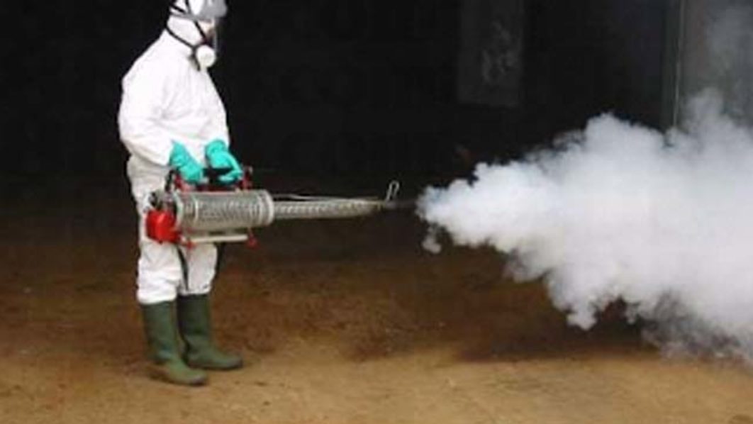 Delta commences fumigation of public places over Lassa fever outbreak ...