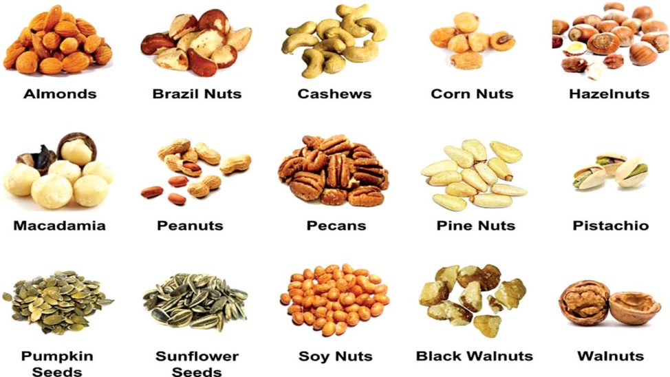 How Nuts Inhibit Growth Of Cancers 