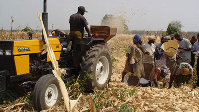 How COVID-19, climate change marred agric sector in 2020 - Guardian