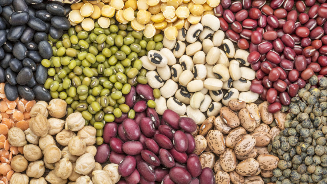 Legumes reduce risk of type 2 diabetes | The Guardian Nigeria News ...