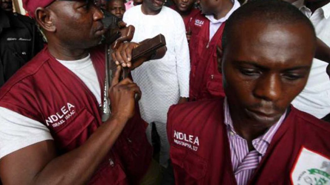 NDLEA Seizes Cocaine Worth Over N32bn In Tincan Port — Nigeria — The ...