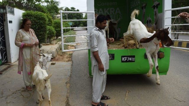 Need a sacrificial goat for Eid? Pakistan has an app for that