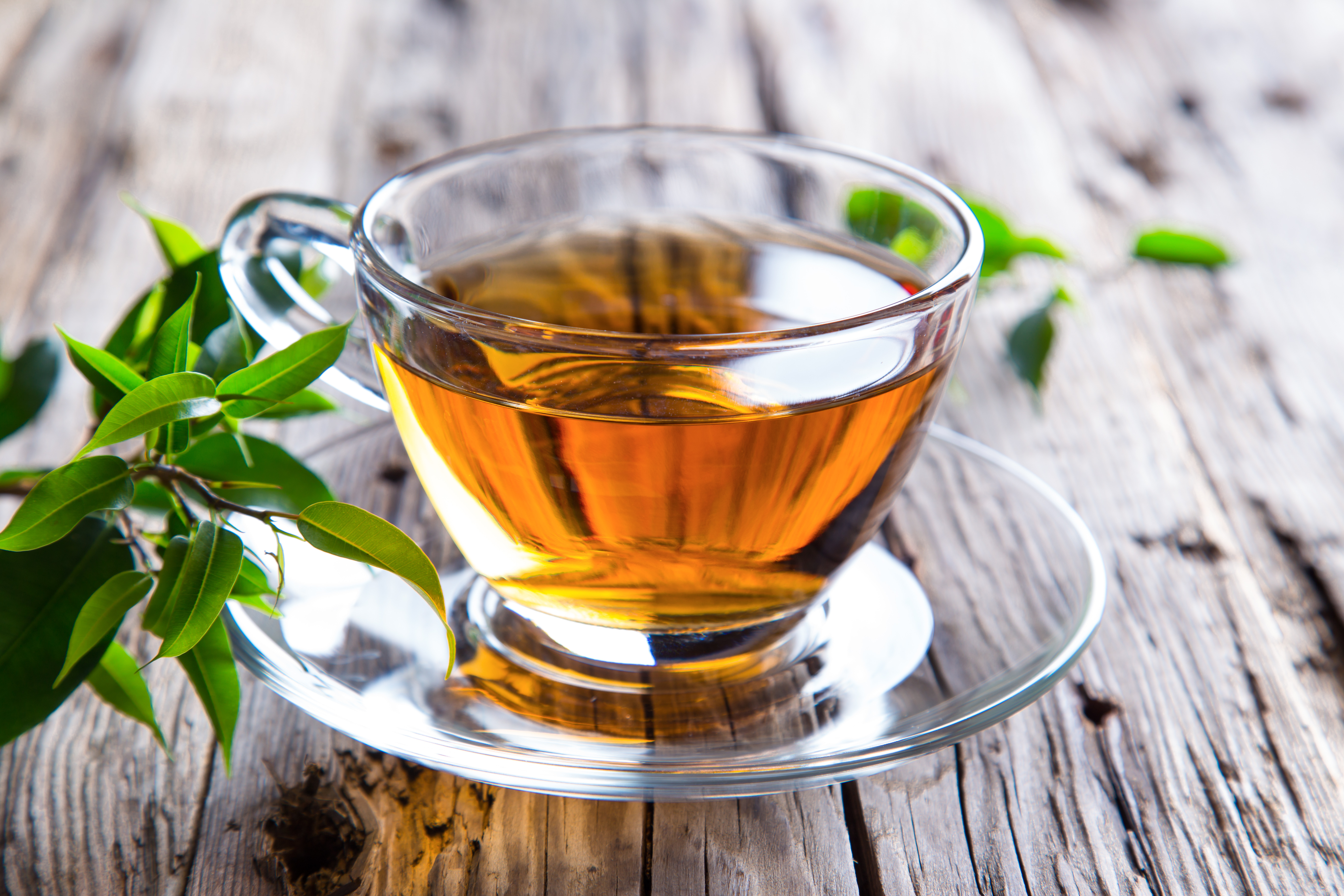 Does Herbal Tea Help Migraines