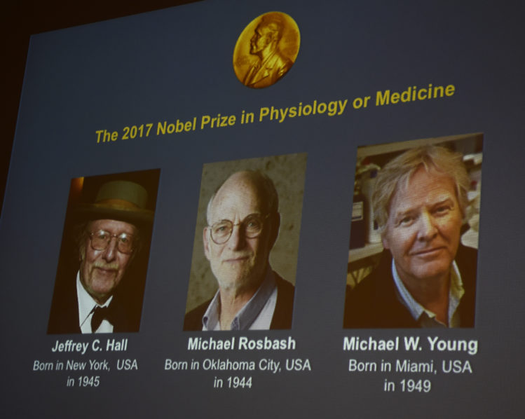 US biology trio wins Nobel Medicine Prize The Guardian Nigeria News