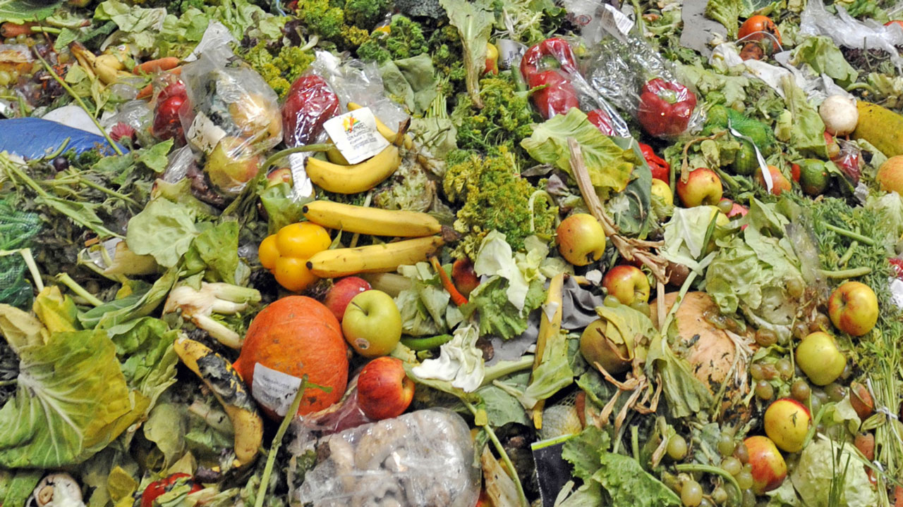 how-to-stop-food-wastage-features-the-guardian-nigeria-news