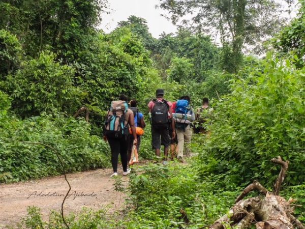 A Guide To Hiking In Nigeria: What To Bring And Where To Go — Guardian ...