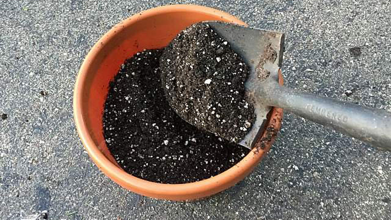 Soil for container gardening — Saturday Magazine — The ...