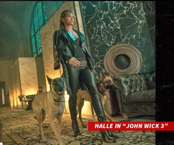 Halle Berry Trains For "John Wick 3" | The Guardian Nigeria News