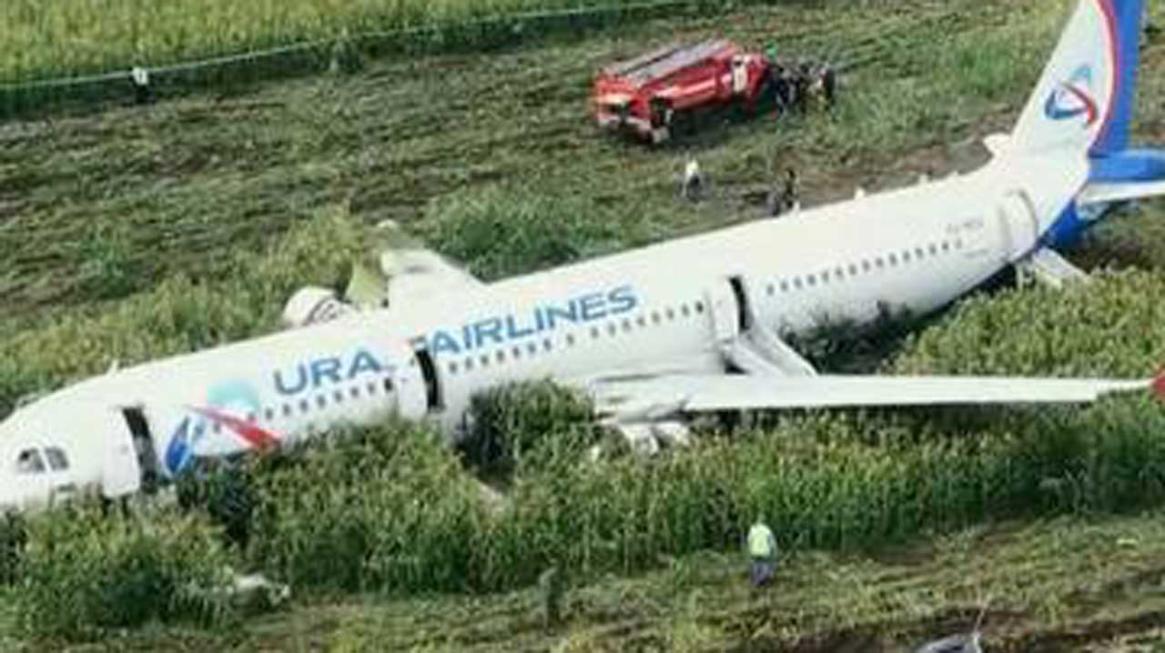 Pilot emerges hero as plane lands in cornfield The Guardian