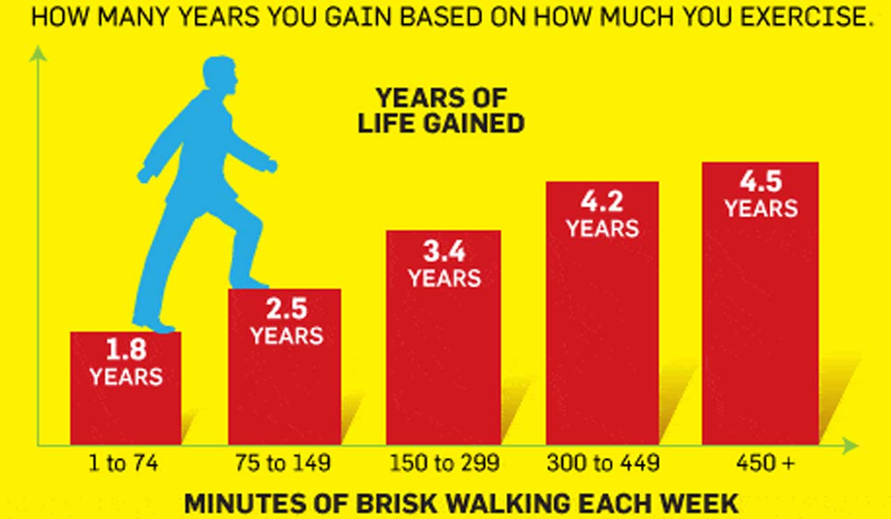 Can Exercise Increase Life Expectancy?