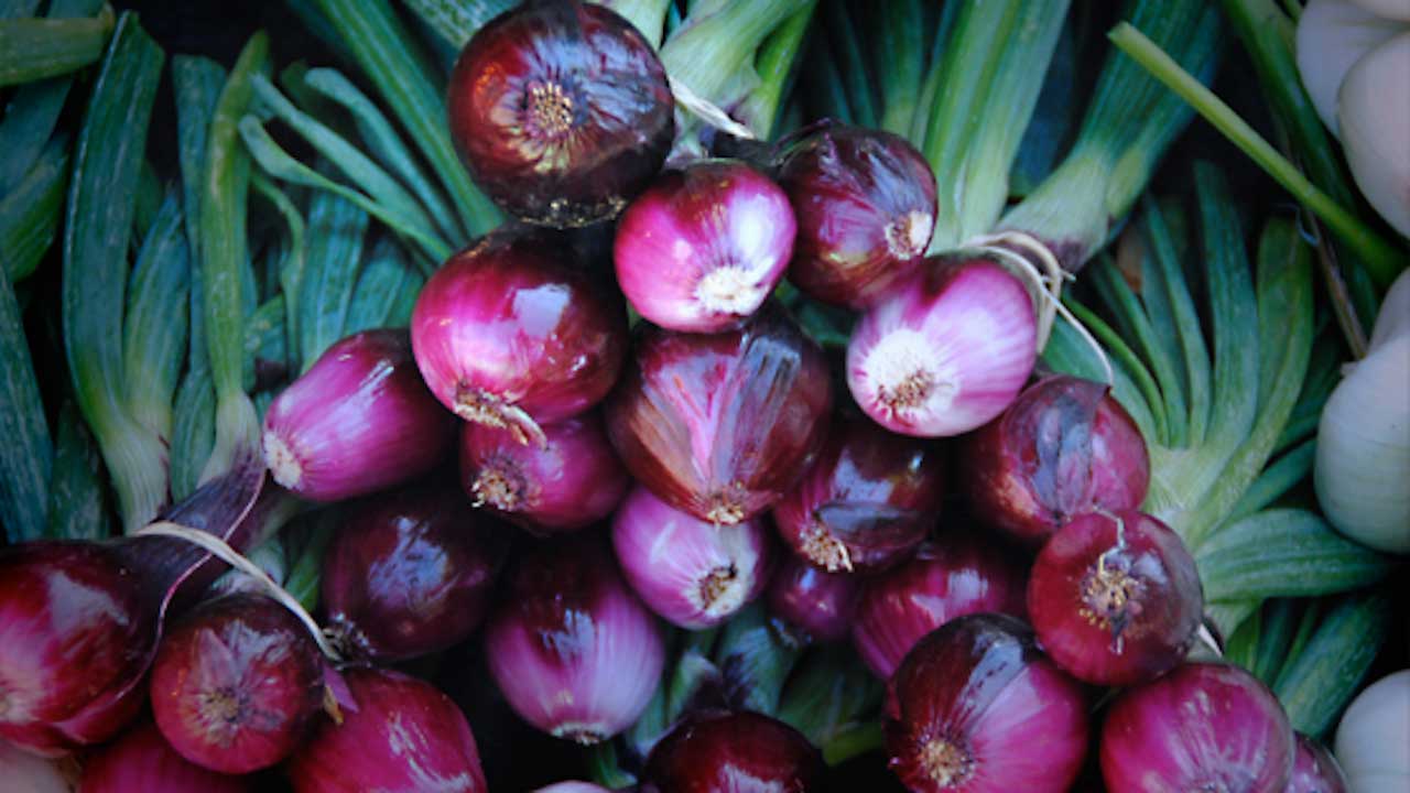 Fresh Onions and Shallots Market Beating Historical Challenges, What's Next