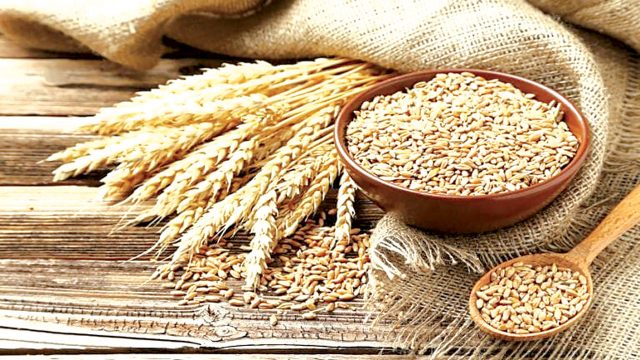 CBN supports wheat value chain to boost external reserves