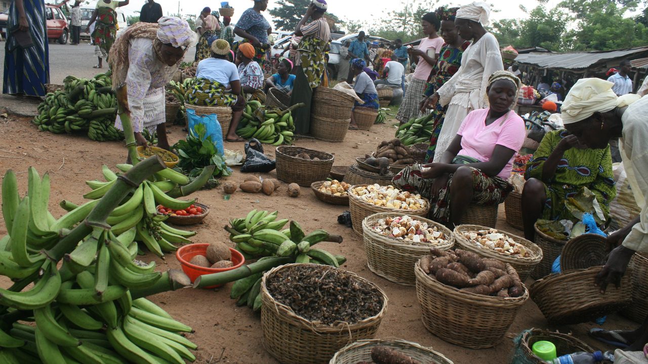 Insecurity and looming food crisis | The Guardian Nigeria News - Nigeria  and World NewsOpinion — The Guardian Nigeria News – Nigeria and World News