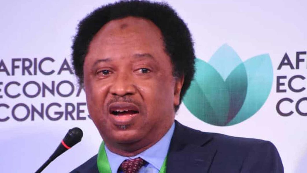 Shehu Sani 